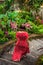 Young woman in a long red dress walking down the stairs in the jungle of Bali island.a