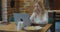 Young woman looking busy working on a laptop at a cafe. Caucasian woman sitting in coffee shop using laptop.