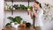 Young woman looks at green plant in white flowerpot in her hands. Plants, cacti, drainage and soil on wooden table
