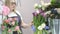 Young Woman makes a bouquet of fresh tulips . sale of plants in the store.