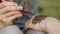 Young woman making floral mehendi on a hand using henna.