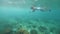 Young woman making photo while snorkeling with mask and tube underwater view. Girl snorkeling and photographing