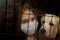 Young woman in mask behind girds or bars with her dog. forced home isolation