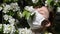 Young woman in medical mask sniffs cherry flowers on a sunny day