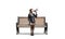 Young woman with megaphone on wooden bench