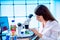 Young woman with microscope in GMO laboratory. Study of green plant of agricultural plants with a microscope