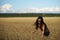 Young woman in the middle of beige wheat field. Girl with long hair. Waist-deep in ears of wheat, picking ears