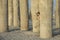 Young woman in a middle of concrete pilings