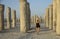 Young woman in a middle of concrete pilings