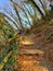 Young woman mountaineers climbing a vertical path