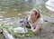 The young woman near a baby bird of a swan on the bank of the lake