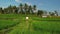 Young woman outdoors with whiteboard and handwriting word tropical on it. Drone flying footage. Green bright tropical