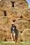 Young woman in overalls and hat at haystack. Female portrait in field in countryside