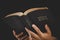 Young woman person hand holding holy bible with study at home. Adult female christian reading book in church. Girl learning