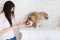 Young woman pets her lovely fluffy cat