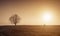 Young woman picnic by the tree on field in sundown