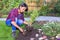 Young woman planting basil plant in garden soil