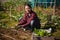 Young woman planting vegetables in sunny garden