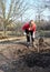 A young woman is planting a walnut seedling