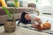 Young woman playing with cat on carpet at home. Master lying on floor with her pet