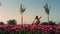Young woman playing cello with inspiration in blooming tulip field