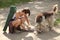 Young woman playing with stray dogs outdoors