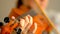 Young woman playing the violin. Hands of musician, close up view. Front view