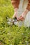 young woman plucks wild blue flowers in the green park on summer sunny day. girl with curly hair in dress makes bouquet