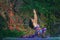 Young woman practice yoga outdoor colorful autumn background