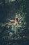 Young woman practice yoga outdoor in riverbed of small mountain