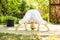 Young woman practices yoga in the garden. Prasarita Padottanasana or Wide Stance Forward Bend