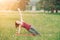 Young woman practicing yoga on the background of fields and forests in summer. Health, sport, happiness