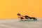 Young woman practicing yoga, doing four limbed staff, push ups or press ups exercise, chaturanga dandasana pose, working out,