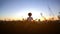 Young woman practicing yoga on hill at sunset, sitting in lotus pose, meditating