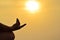 Young woman practicing yoga on morning sunshine