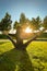 young woman practicing yoga in the park. in the rays of the sun at sunset. pose raised her legs. balance and serenity