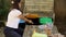 Young woman preparing garbage for recycling. Different colour of trash bins. Female caring for nature and and put clean