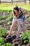 A young woman is processing a garden bed in a farm_