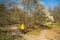 The young woman in the protective medical mask walks in the park on a sunny spring day