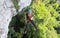 A young woman rappels from a cliff on a guided tour at Caves Branch Lodge in Belize.