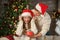 Young woman receiving Christmas gift from her boyfriend at home