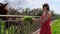 A young woman in a red dress feeds a donkey and horses with grass