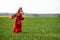 Young woman in red dress playing violin in green meadow - image