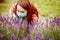 Young woman with red long hair wearing surgical mask trying to smell flowers of purple lavender. Allergy, covid, flu.