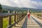 Young woman in red pants, white shirt, hat is walking on the woo