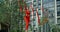 Young woman in red performs callisthenics with ribbon in the libing apartment yard, gymnast does acrobatic exercises in