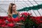 Young woman among red poinsettia flowers in a greenhouse holds a pot with one of these plants