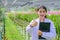 Young woman researcher in a white dress, thumbs up and explores the garden before planting a new orchid