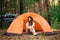 Young woman resting in hat near camping tent in wilderness.