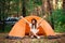 Young woman resting in hat near camping tent in wilderness. Rest concept